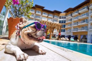 hoteis-pet-friendly